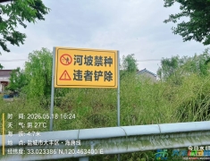河坡明令禁种却乱象依旧 警示牌形同虚设监管流于形式